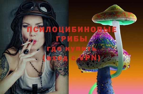 МДМА Приозерск