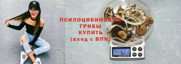 таблы Протвино